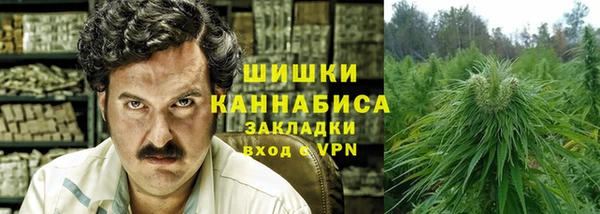 ГАЛЛЮЦИНОГЕННЫЕ ГРИБЫ Алексин