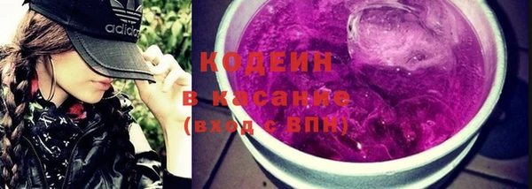 ГАЛЛЮЦИНОГЕННЫЕ ГРИБЫ Алексин