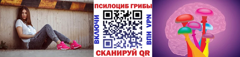 Псилоцибиновые грибы мухоморы  Качканар 